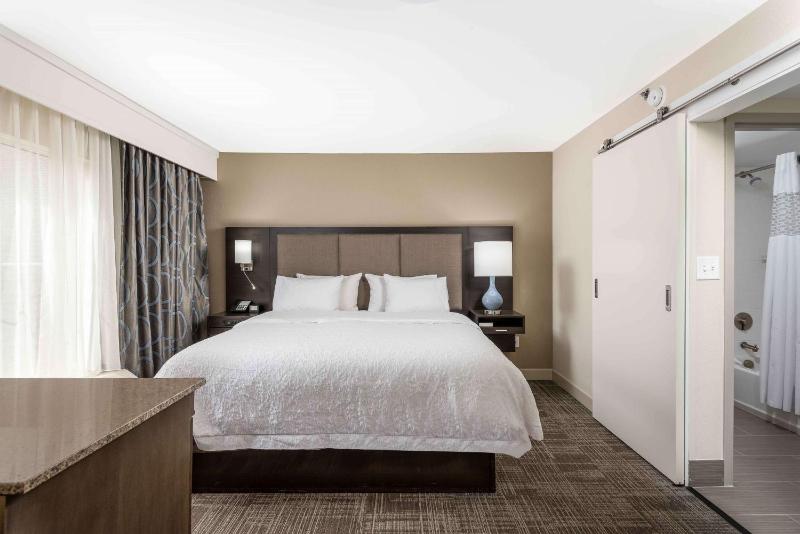 One-Bedroom King Suite - Non-Smoking image 3