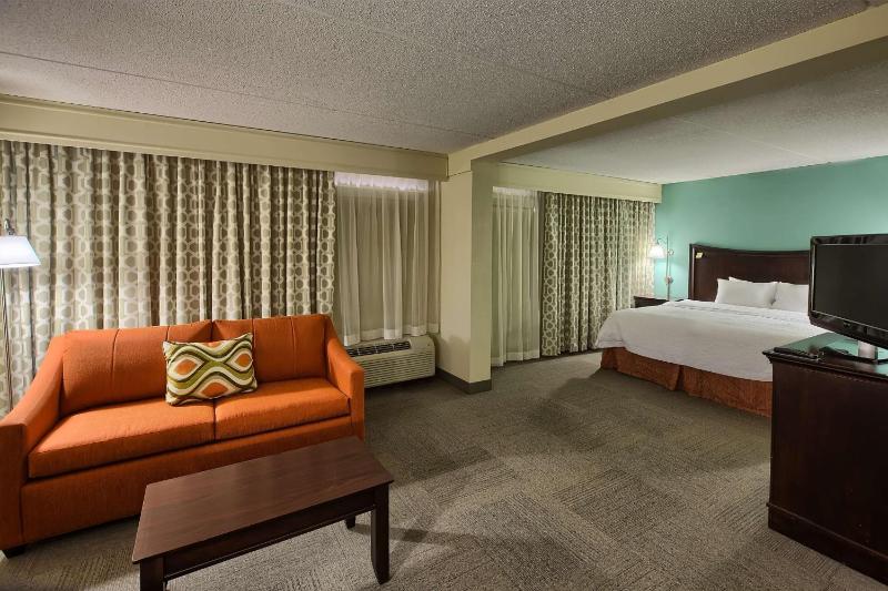 One-Bedroom King Suite - Non-Smoking image 3