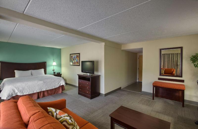 One-Bedroom King Suite - Non-Smoking image 2