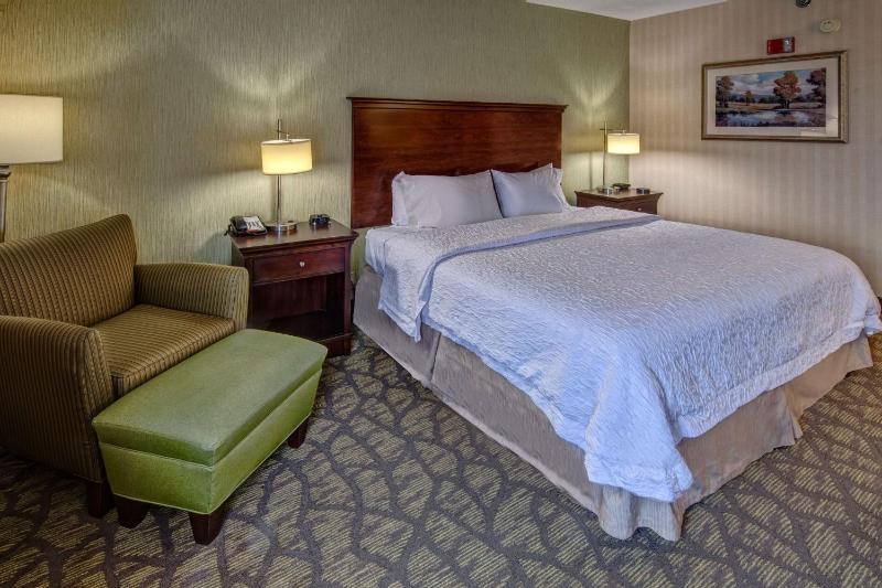 King Room with Accessible Tub - Mobility and Hearing Access/Non-Smoking image 1
