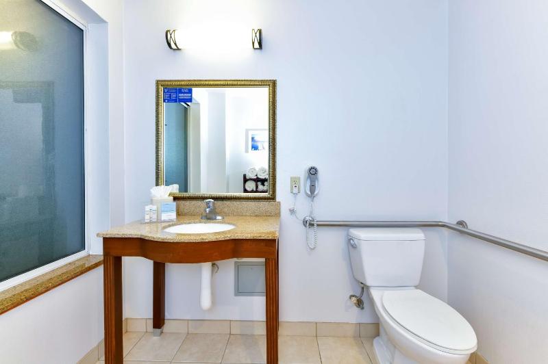 King Studio with Roll-In Shower - Mobility and Hearing Access/Non-Smoking image 3