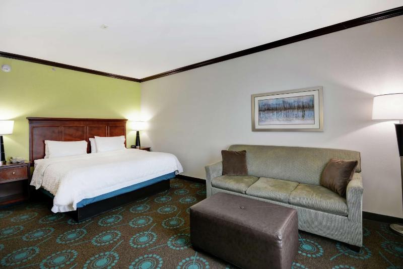 King Studio Suite with Sofa Bed - Non-Smoking image 4