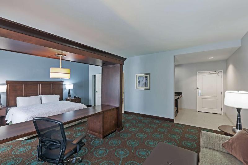 King Studio Suite with Sofa Bed - Non-Smoking image 4