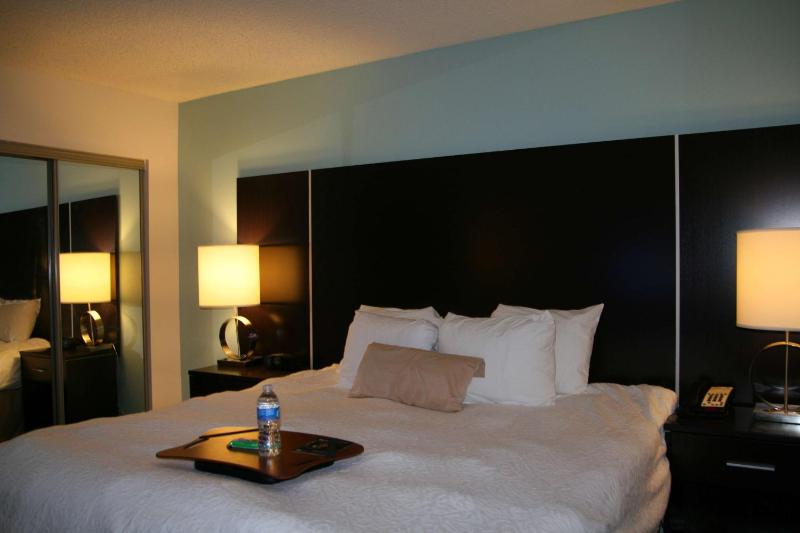 One-Bedroom King Suite with Sofa Bed - Non-Smoking image 1