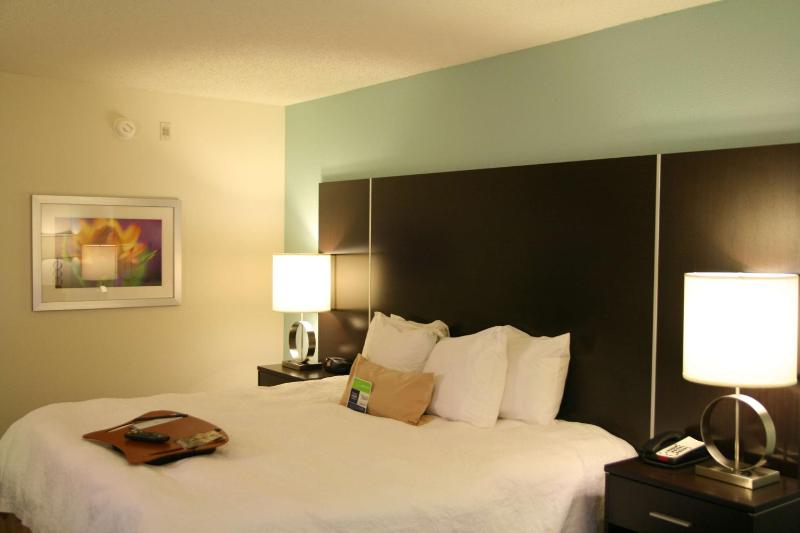 King Room with King Bed - Non-Smoking image 3