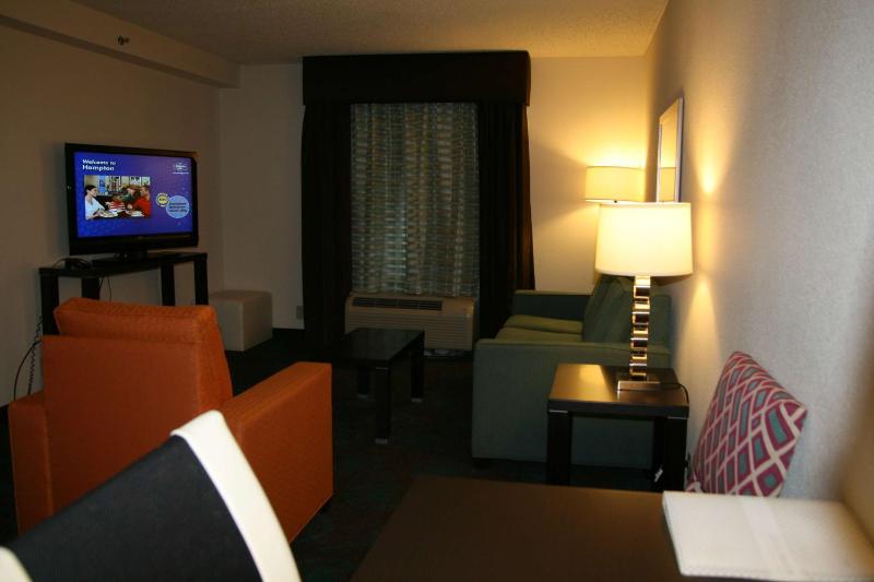 One-Bedroom King Suite with Sofa Bed - Non-Smoking image 3