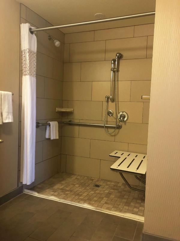 King Studio with Roll-In Shower - Mobility and Hearing Access/Non-Smoking image 2