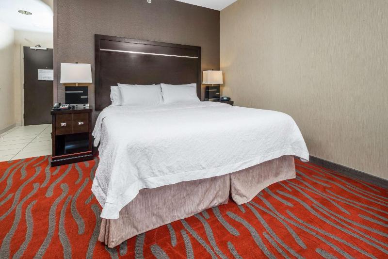 King Studio Suite with Sofa Bed - Non-Smoking image 3