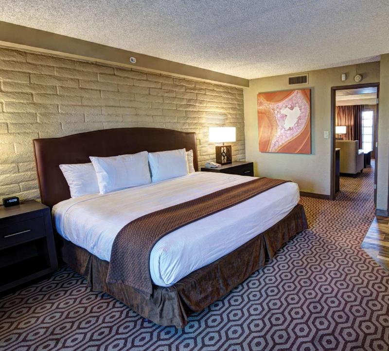 DoubleTree Suites By Hilton Tucson - Williams Center - image 6
