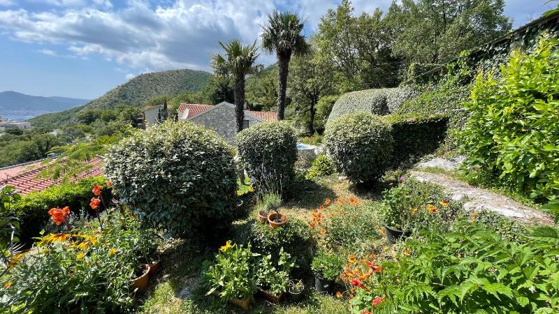 Mountains Villa near Budva - image 15