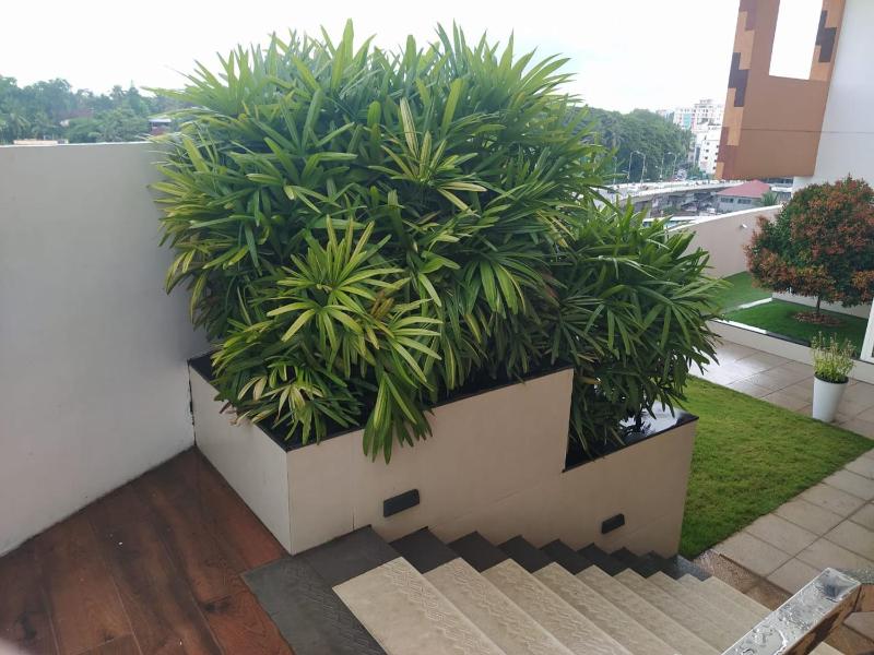 Luxurious Apartment with a pool and gym near Trivandrum railway station - image 10