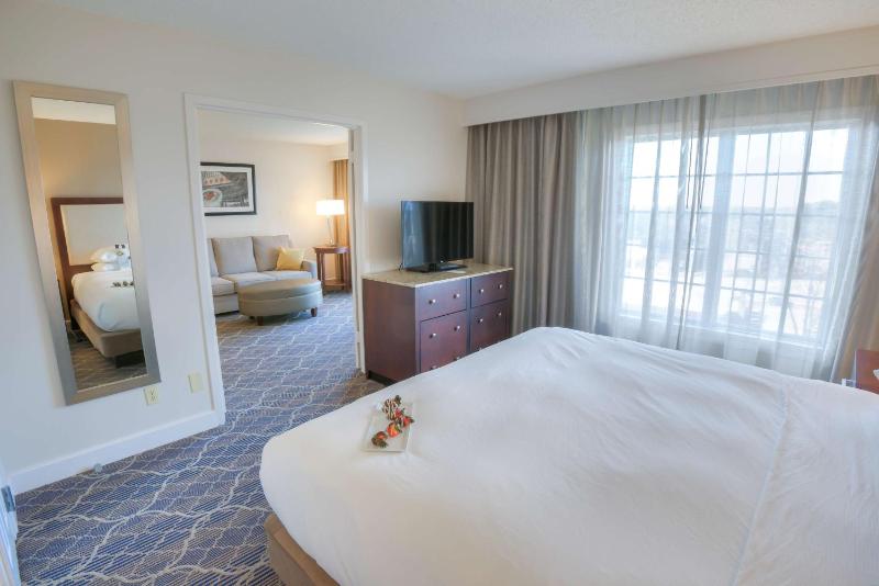 Non-Smoking Two Room King Suite image 3