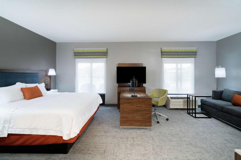 King Studio Suite with Sofa Bed - Non-Smoking image 3