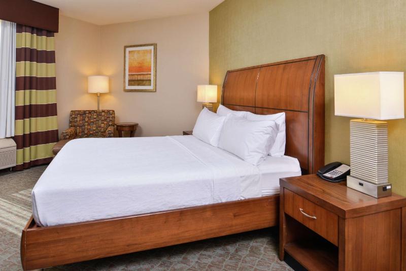 Deluxe King Room image 1