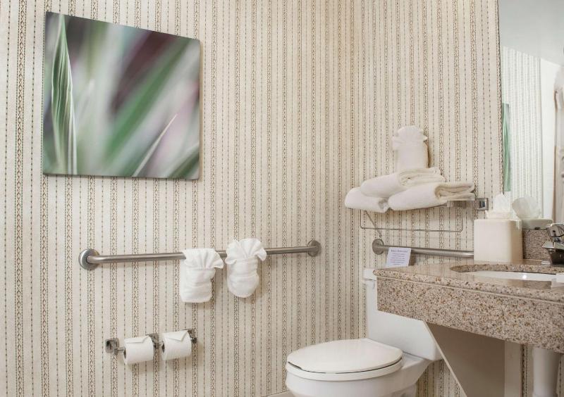 King Room with Accessible Tub - Mobility Access image 2