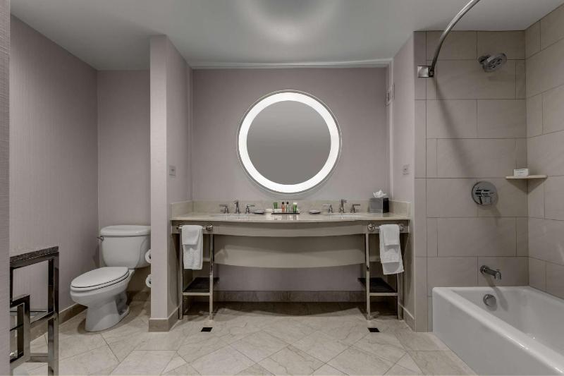 Deluxe King Suite image 2