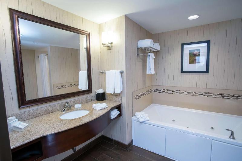 One-Bedroom King Suite image 4