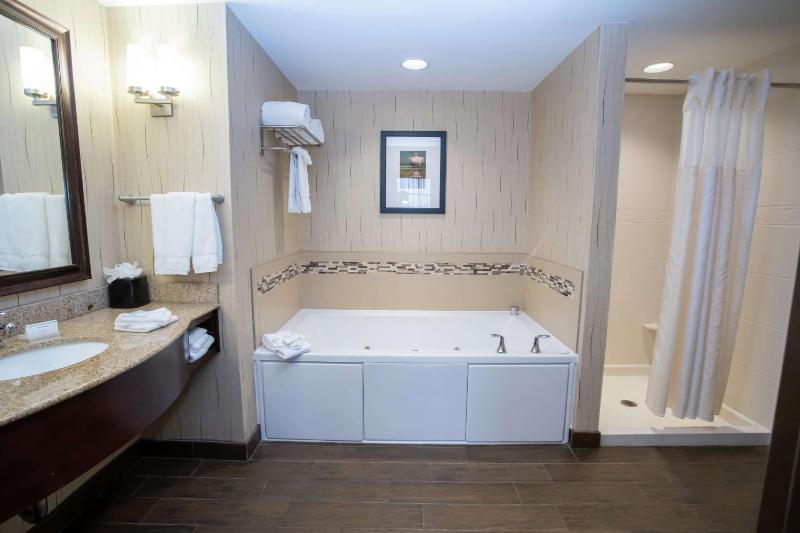 One-Bedroom King Suite image 3