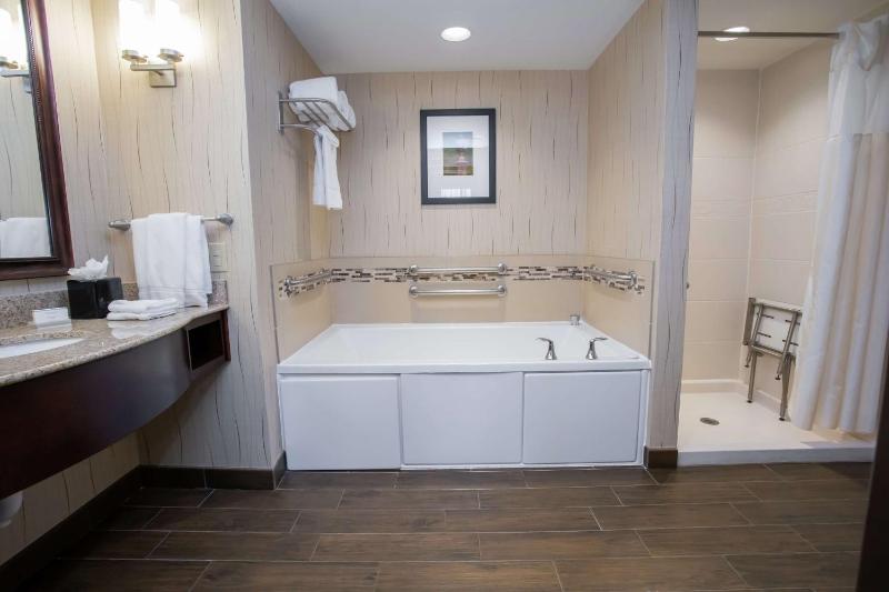 One-Bedroom King Suite image 2