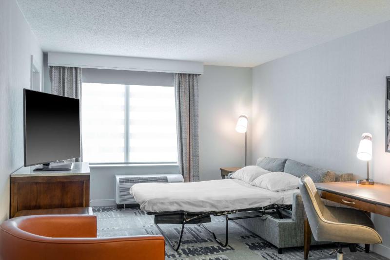 Junior King Suite image 3