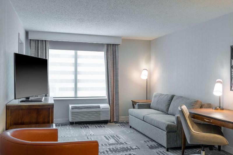 Junior King Suite image 3
