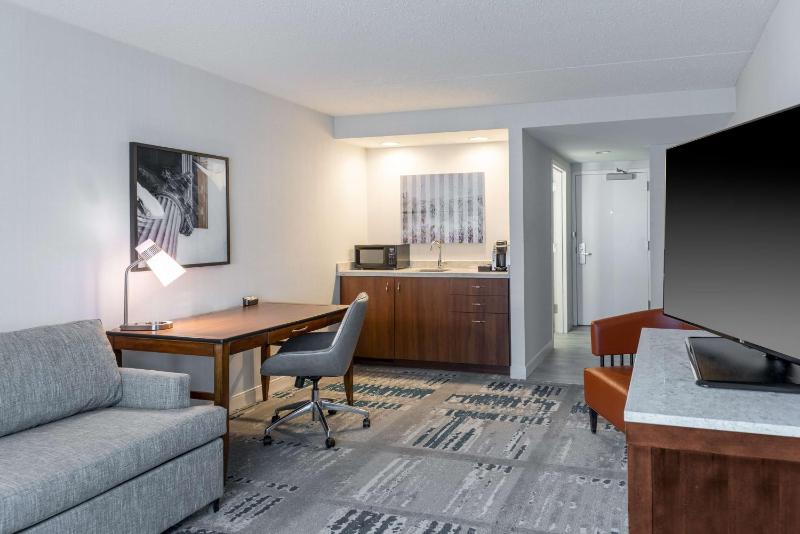 Junior King Suite image 1
