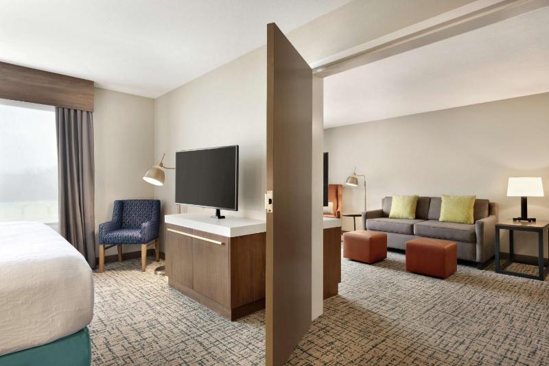 Deluxe One-Bedroom Suite with King Bed image 3