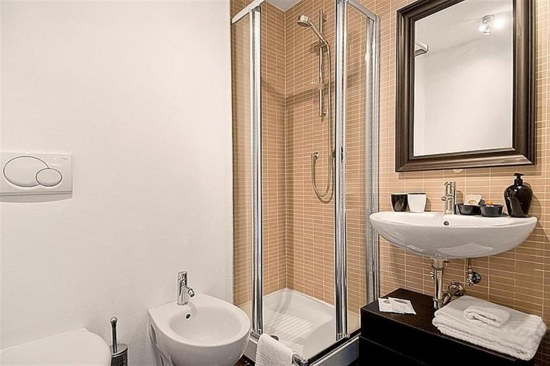 One-Bedroom Apartment image 4