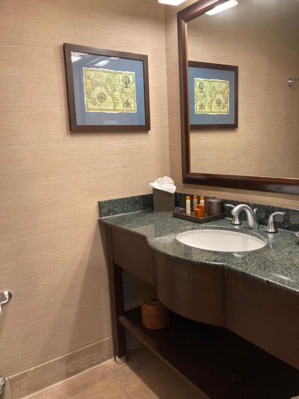 Deluxe King Room image 3