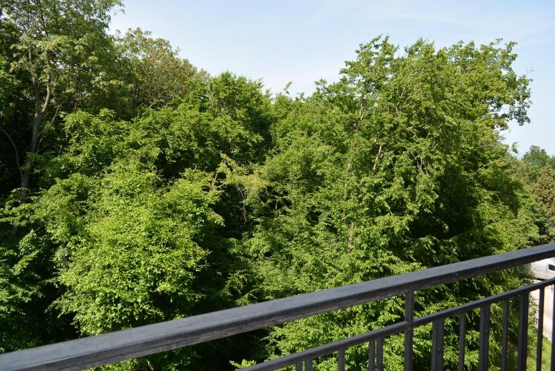 One -Bedroom Apartment with Garden View image 3