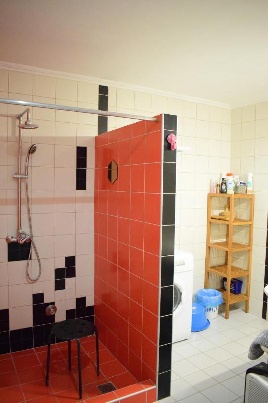 Ilian House - image 31