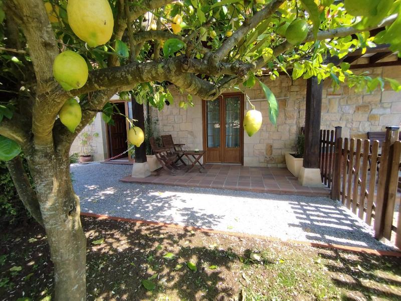 Studio Apartment image 1