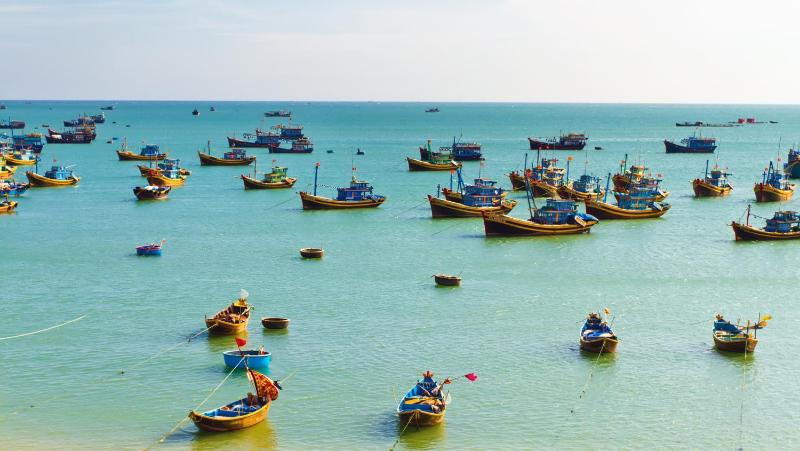 The Linh Hoi An - image 5
