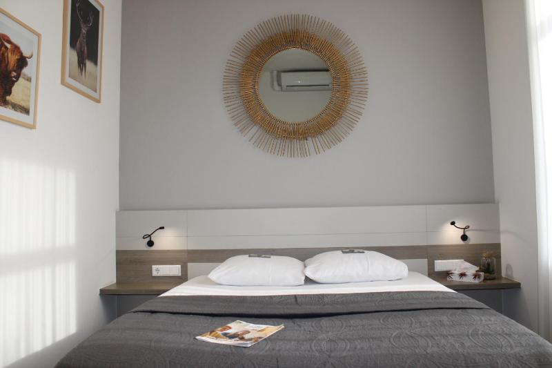 Deluxe King Room image 1