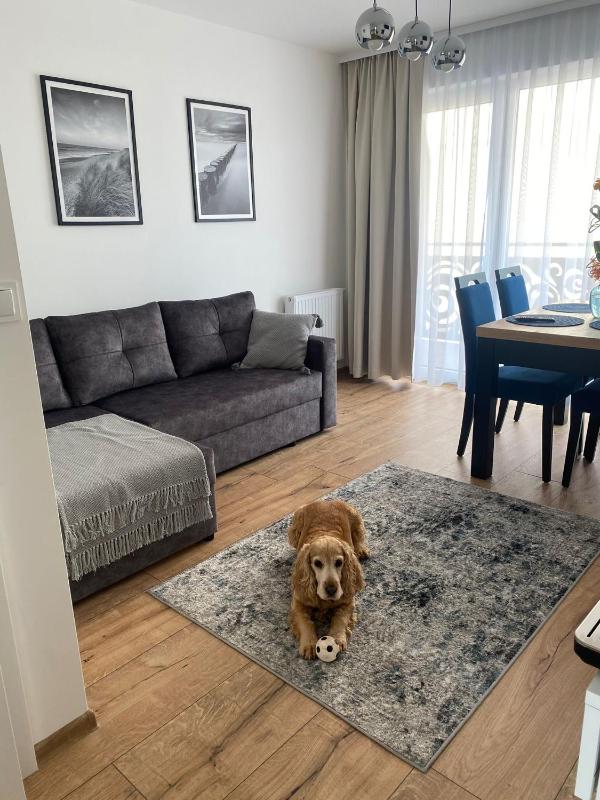 SOLEK Apartamenty hotelowe i pokoje gościnne ze śniadaniem przyjazne zwierzętom wyjątkowe z widokiem na Jezioro Jamno i w bardzo bliskiej odległości od morza - image 13
