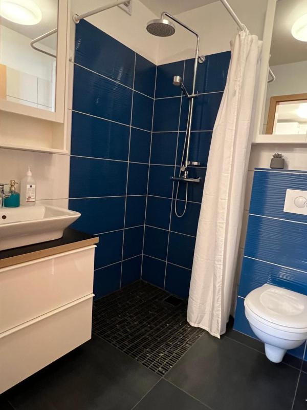 One-Bedroom Apartment image 2