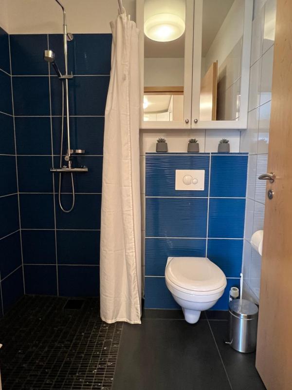 One-Bedroom Apartment image 3