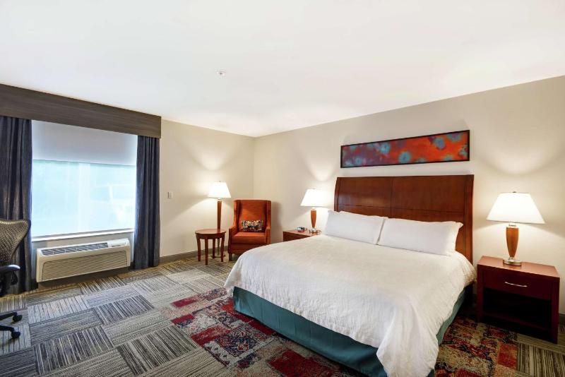 King Room with Bath Tub - Mobility Access image 4