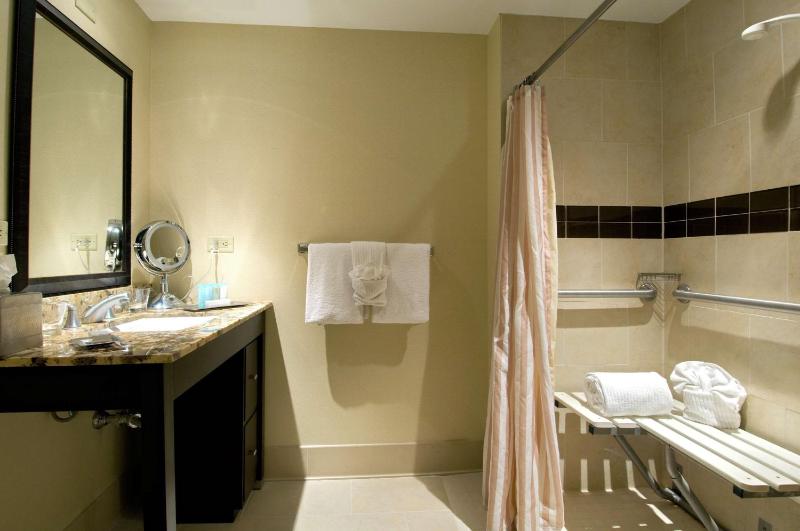 King Room with Roll-In Shower - Disability Access image 2