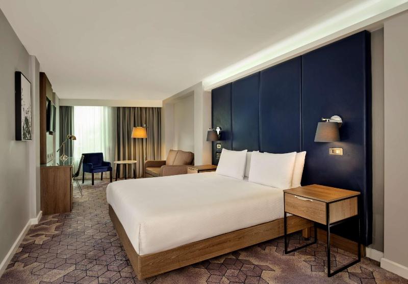 Deluxe King Room image 1