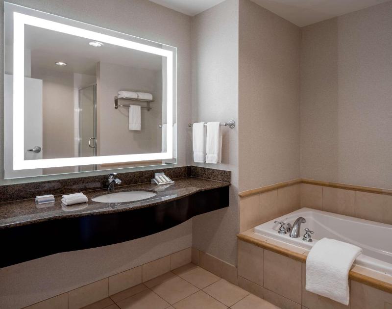 One-Bedroom King Suite with Sofa Bed image 2