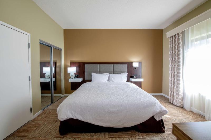 King Studio Suite with Sofa Bed - Non-Smoking image 4
