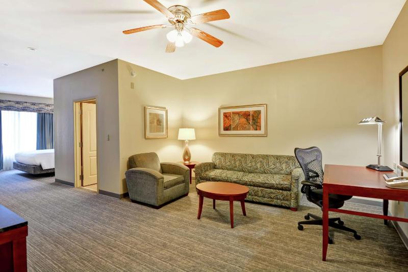 One-Bedroom King Suite image 3