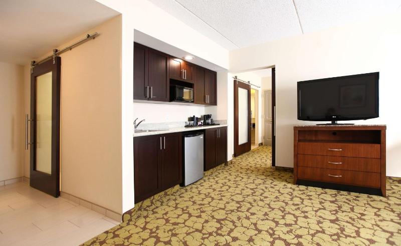 One-Bedroom King Suite image 2