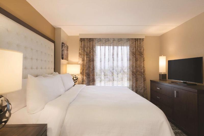 Premium King Suite image 4