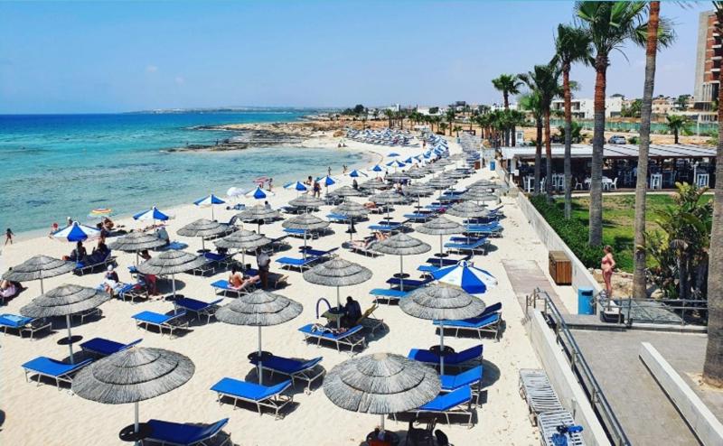 Votsalo Villa - 30m from Med Sea - image 10