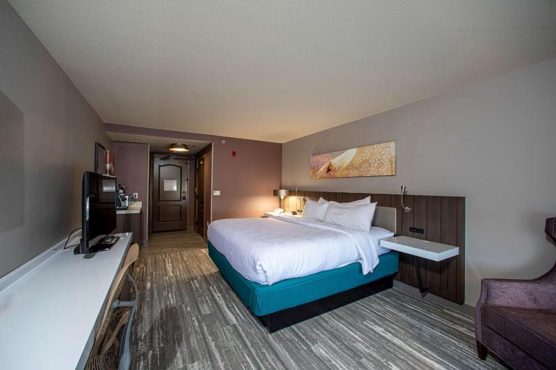 King Room image 1
