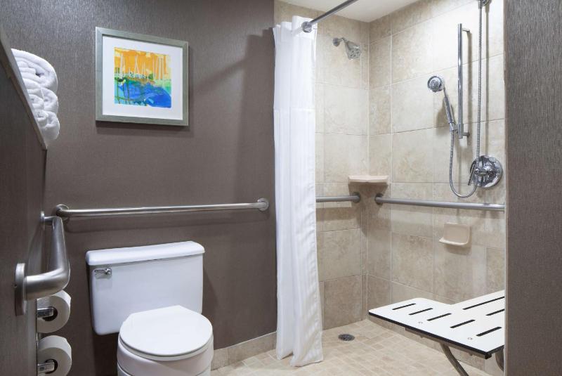 King Room with Roll-In Shower - Mobility Access image 2