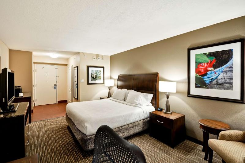 King Room image 3