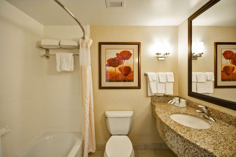 Junior King Suite with Seating Area image 2
